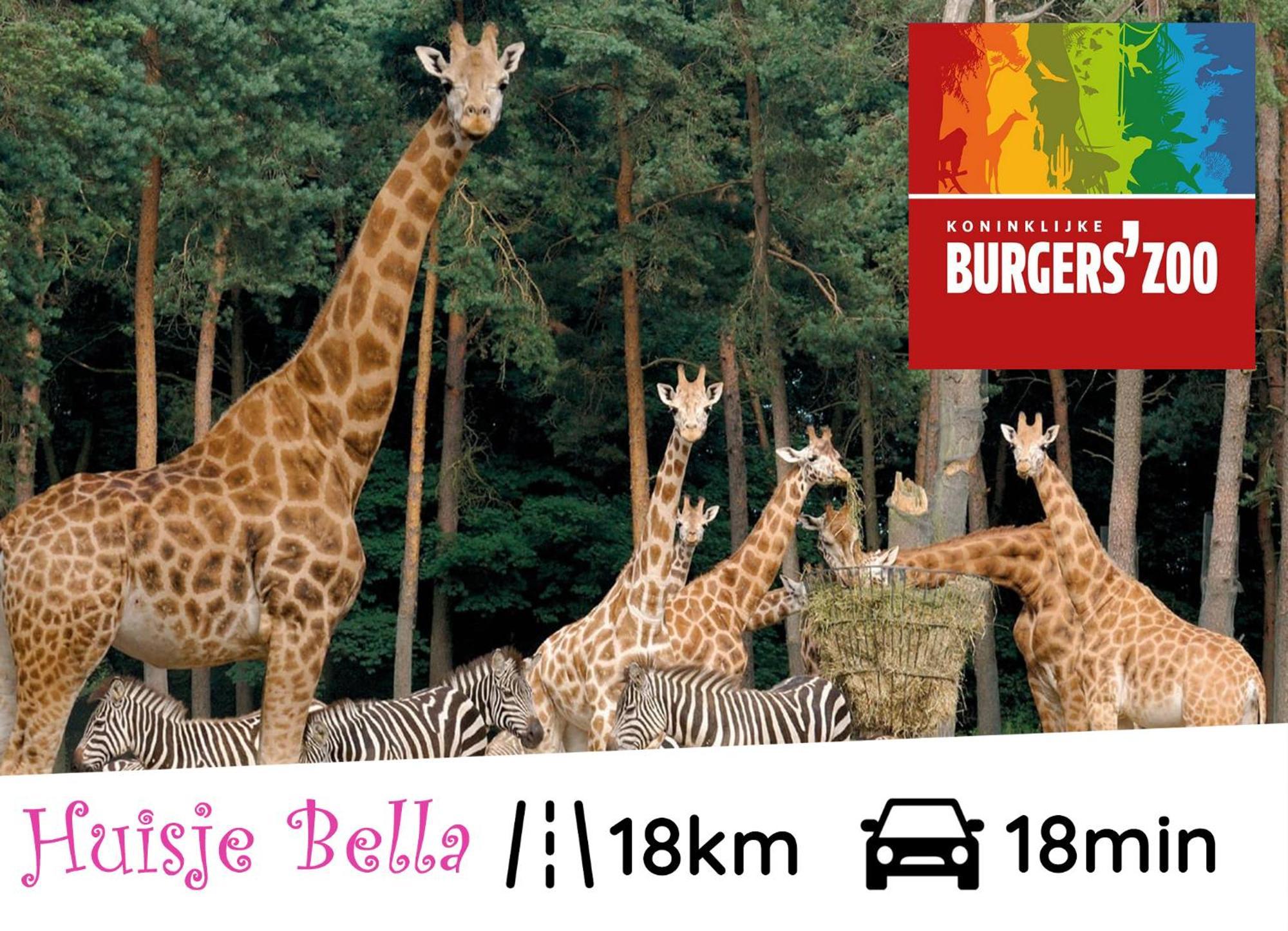 ביקברחן Chalet Huisje Bella Op De Veluwe Max 2 Volwassene מראה חיצוני תמונה