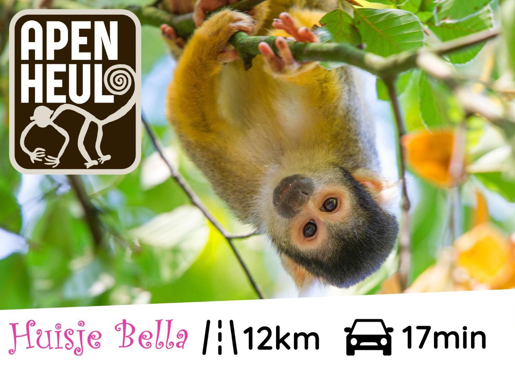 ביקברחן Chalet Huisje Bella Op De Veluwe Max 2 Volwassene מראה חיצוני תמונה